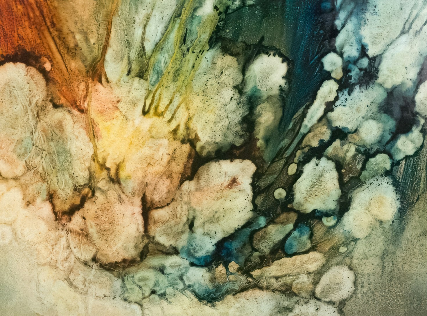 El arte como medio para compartir sueños